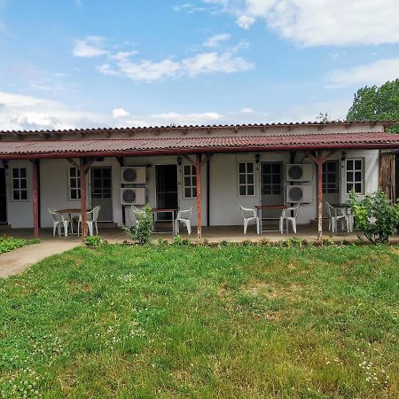 ホテル Casa Ioana コスティネシュティ エクステリア 写真