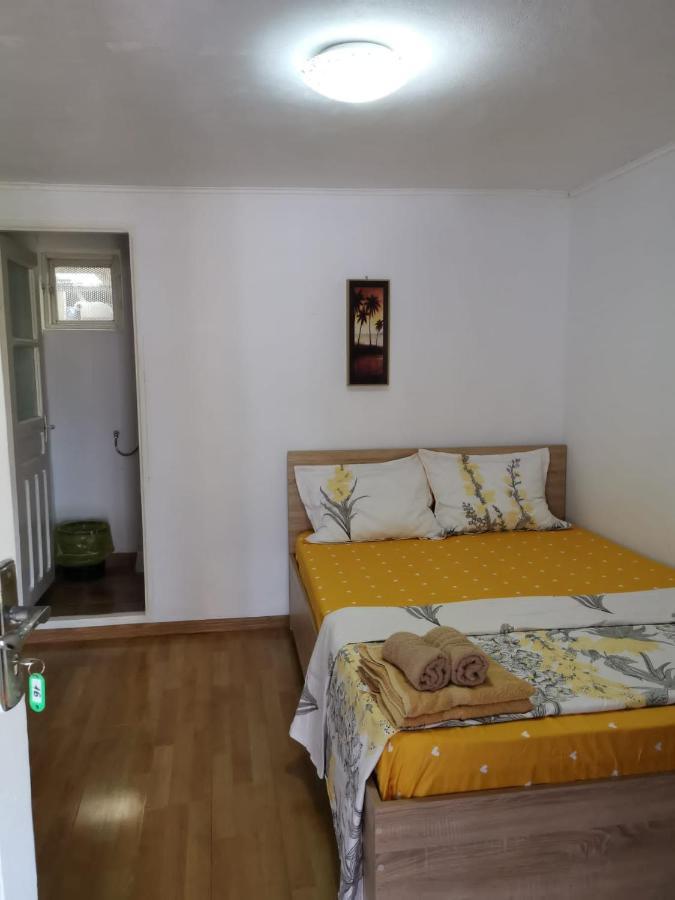 ホテル Casa Ioana コスティネシュティ エクステリア 写真