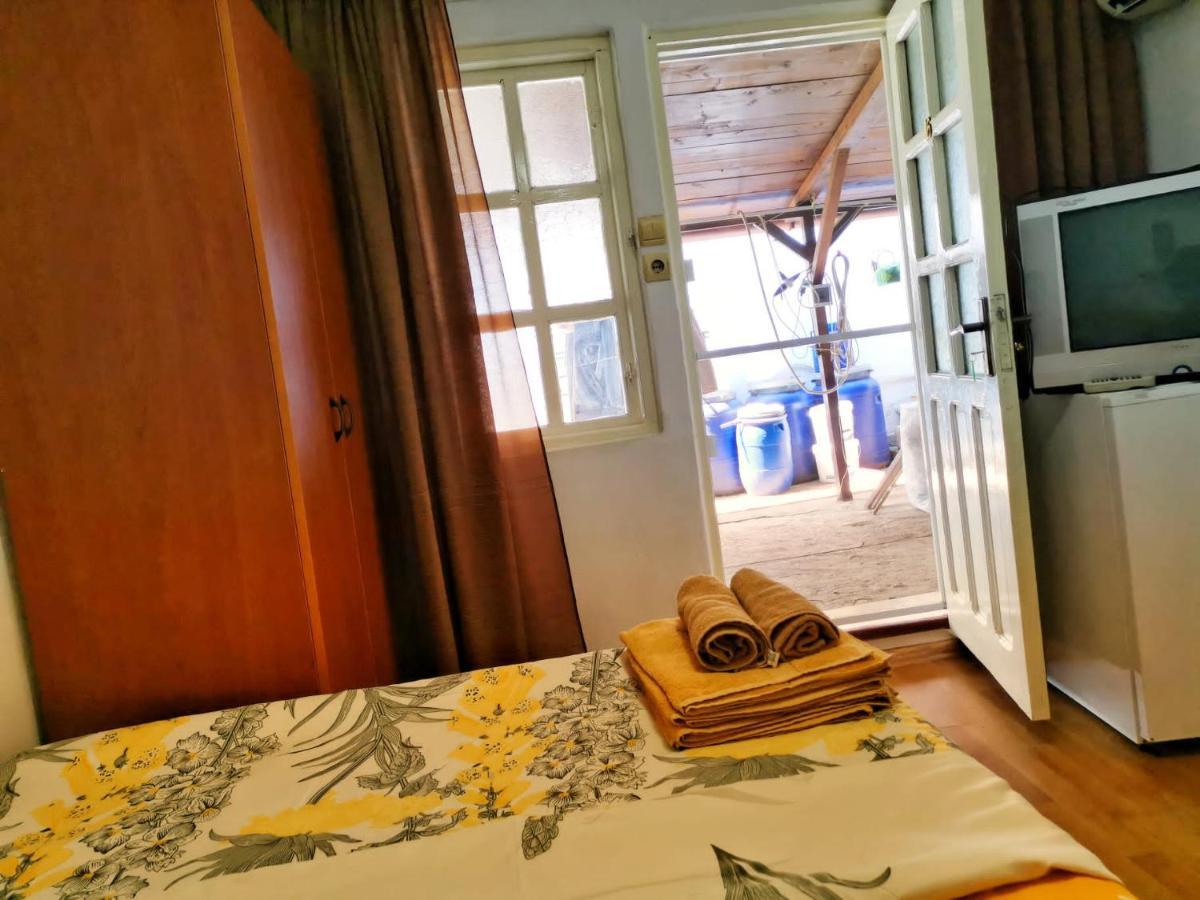 ホテル Casa Ioana コスティネシュティ エクステリア 写真